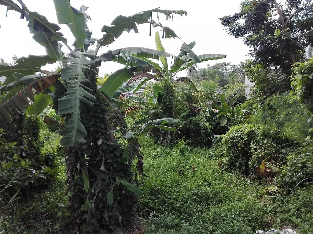 Villa Gana Ubud 0*,  Indonezja